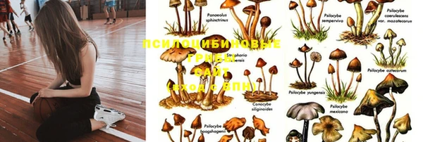 герыч Арсеньев