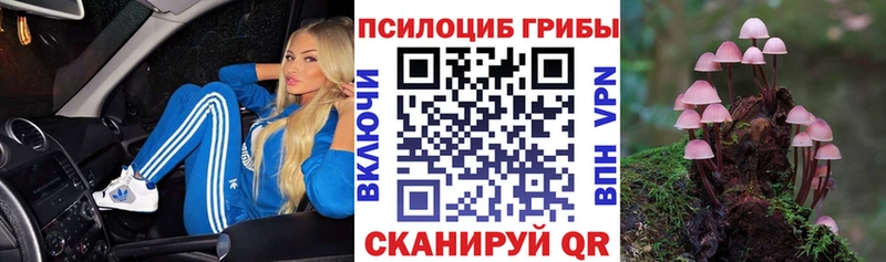 Галлюциногенные грибы MAGIC MUSHROOMS Томмот